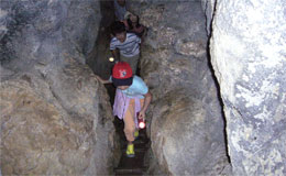 沖縄・やんばる自然体験エコツアー/ヌチシヌジガマ探検/鍾乳洞（洞窟）探検