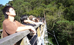 沖縄自然体験エコツアー/比地大滝トレッキング/トレッキング