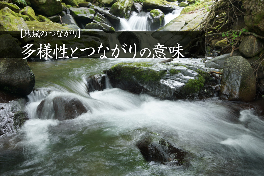 【地域のつながり】多様性とつながりの意味