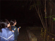 名護城址ナイトハイク/写真